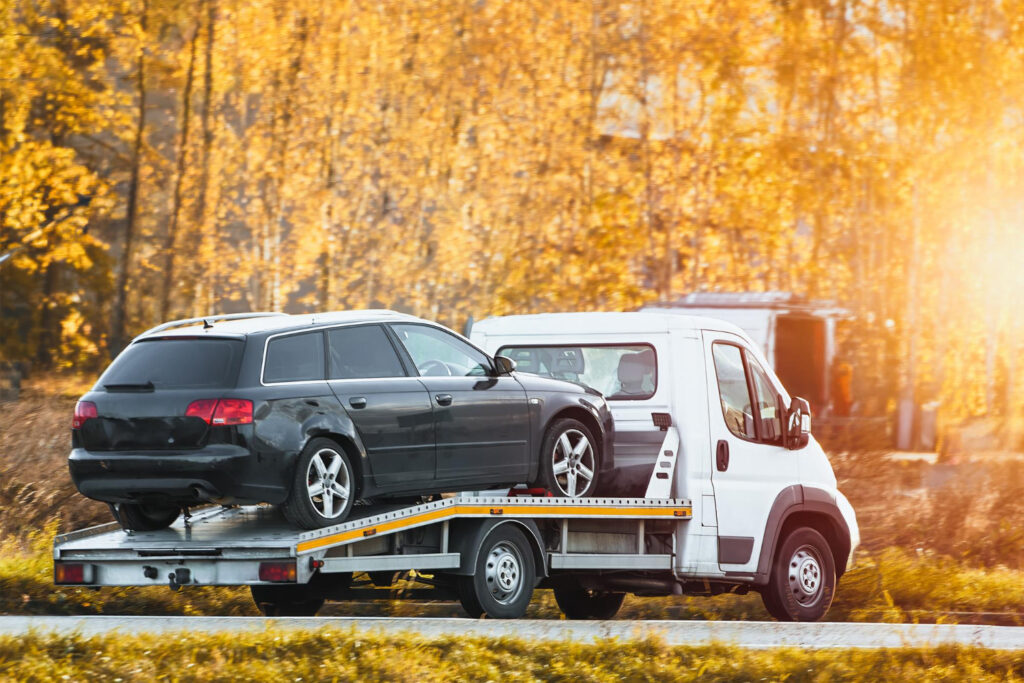 auto assistance ubezpieczenie